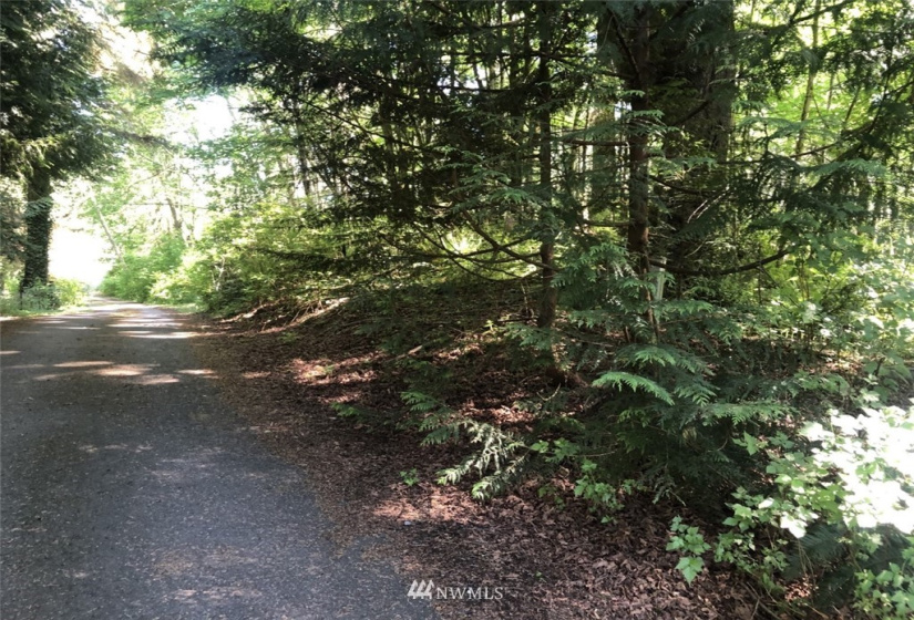 6222 98th, Tulalip, Washington 98271, ,Land,For Sale,98th,NWM1862241