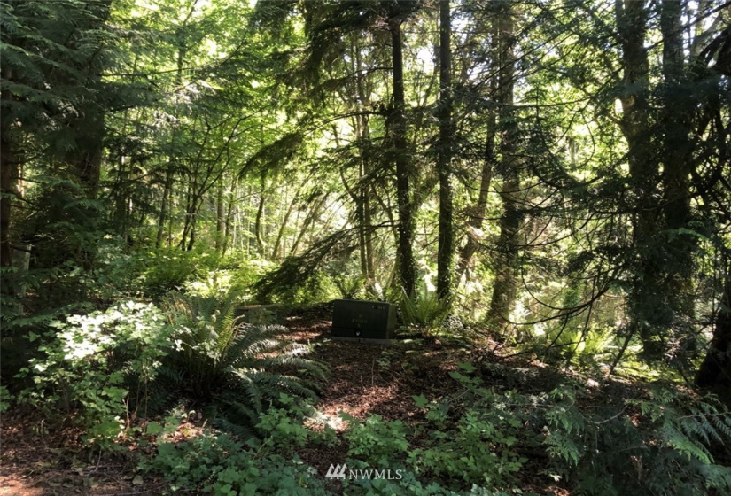 6222 98th, Tulalip, Washington 98271, ,Land,For Sale,98th,NWM1862241