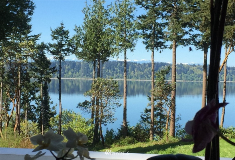 6222 98th, Tulalip, Washington 98271, ,Land,For Sale,98th,NWM1862241