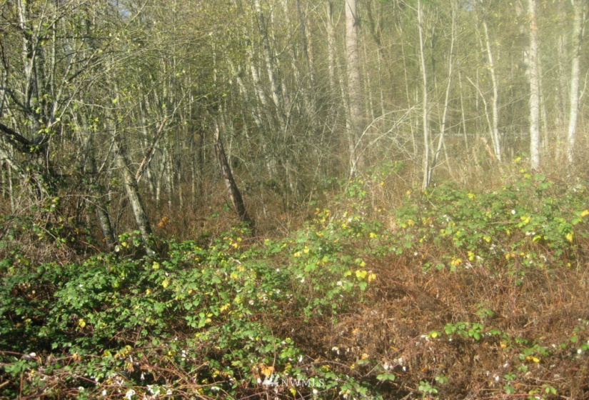 1 Mountain View, Mount Vernon, Washington 98273, ,Land,For Sale,Mountain View,NWM1861233