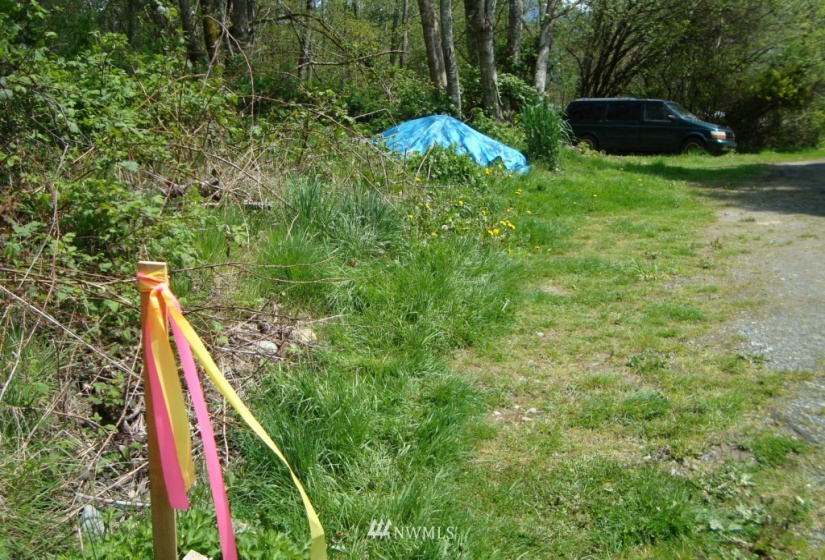 1 Mountain View, Mount Vernon, Washington 98273, ,Land,For Sale,Mountain View,NWM1861233