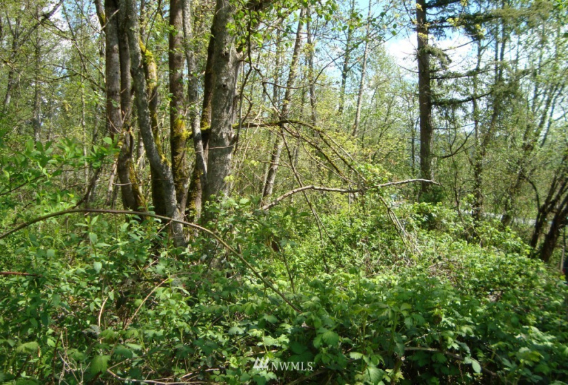 1 Mountain View, Mount Vernon, Washington 98273, ,Land,For Sale,Mountain View,NWM1861233