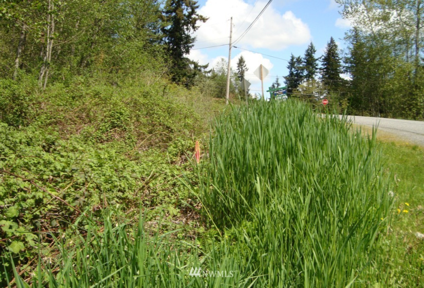 1 Mountain View, Mount Vernon, Washington 98273, ,Land,For Sale,Mountain View,NWM1861233