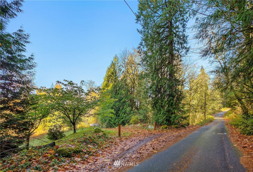 25520 Old Black Nugget, Issaquah, Washington 98029, ,Land,For Sale,Old Black Nugget,NWM1861776