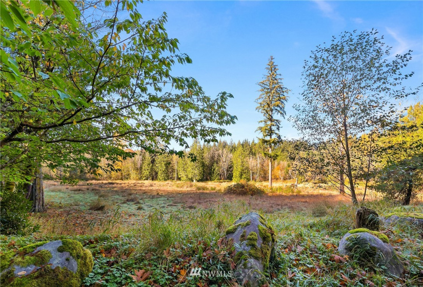 25520 Old Black Nugget, Issaquah, Washington 98029, ,Land,For Sale,Old Black Nugget,NWM1861776