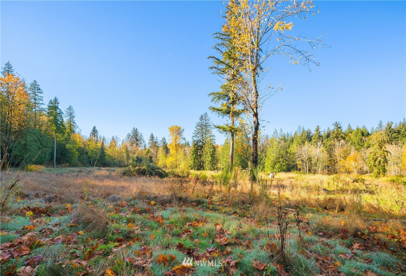 25520 Old Black Nugget, Issaquah, Washington 98029, ,Land,For Sale,Old Black Nugget,NWM1861776