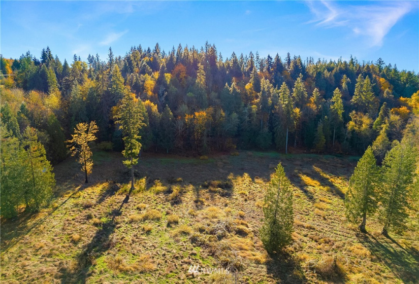 25520 Old Black Nugget, Issaquah, Washington 98029, ,Land,For Sale,Old Black Nugget,NWM1861776