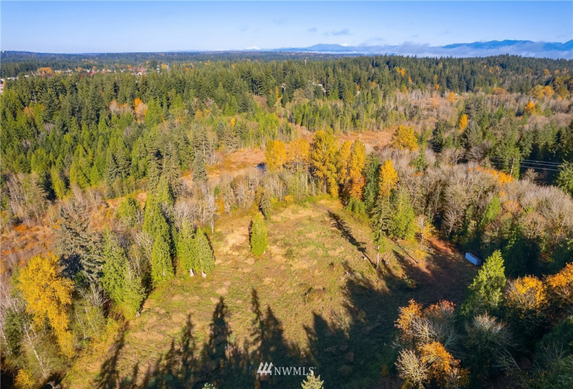 25520 Old Black Nugget, Issaquah, Washington 98029, ,Land,For Sale,Old Black Nugget,NWM1861776