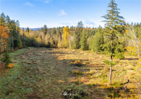 25520 Old Black Nugget, Issaquah, Washington 98029, ,Land,For Sale,Old Black Nugget,NWM1861776