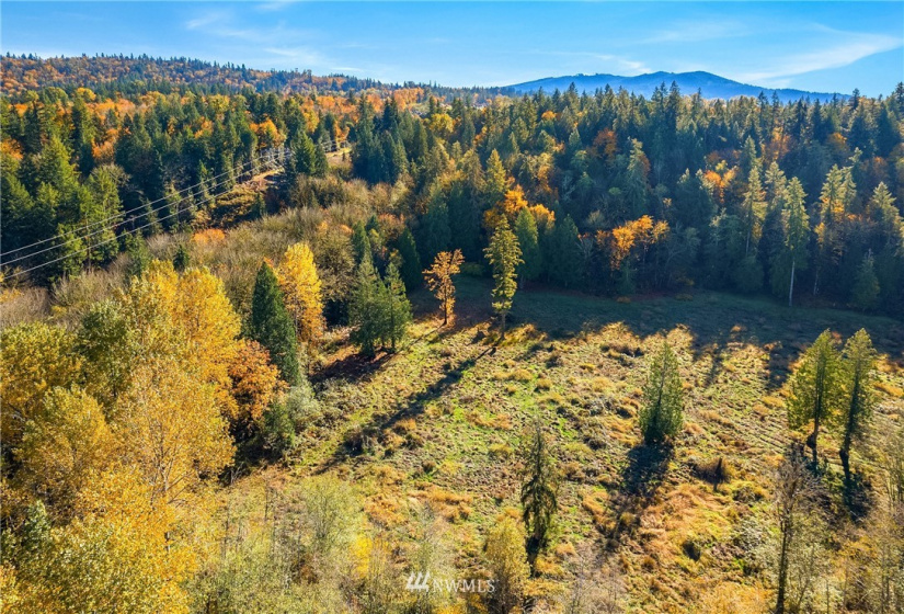 25520 Old Black Nugget, Issaquah, Washington 98029, ,Land,For Sale,Old Black Nugget,NWM1861776