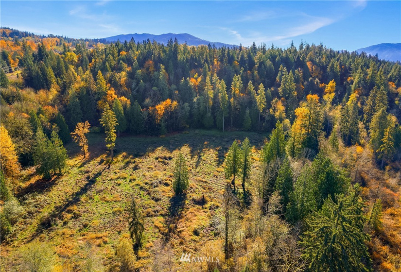 25520 Old Black Nugget, Issaquah, Washington 98029, ,Land,For Sale,Old Black Nugget,NWM1861776
