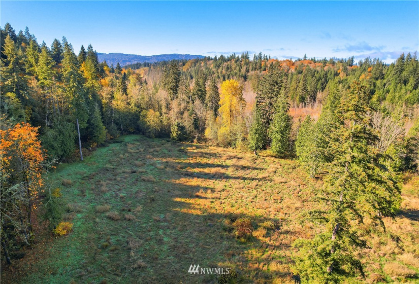 25520 Old Black Nugget, Issaquah, Washington 98029, ,Land,For Sale,Old Black Nugget,NWM1861776