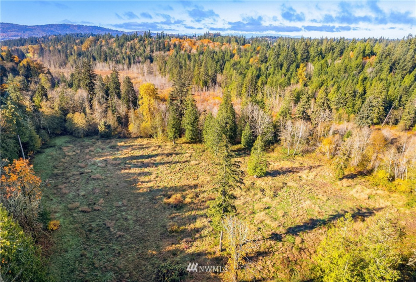 25520 Old Black Nugget, Issaquah, Washington 98029, ,Land,For Sale,Old Black Nugget,NWM1861776