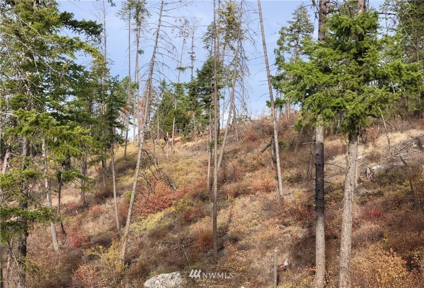 0 Blue Creek, Chewelah, Washington 99109, ,Land,For Sale,Blue Creek,NWM1862288