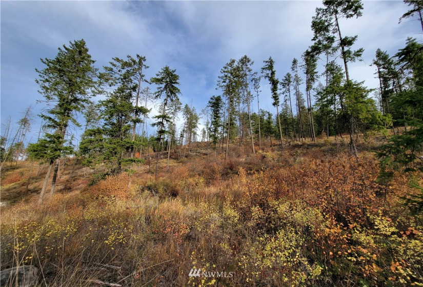0 Blue Creek, Chewelah, Washington 99109, ,Land,For Sale,Blue Creek,NWM1862288