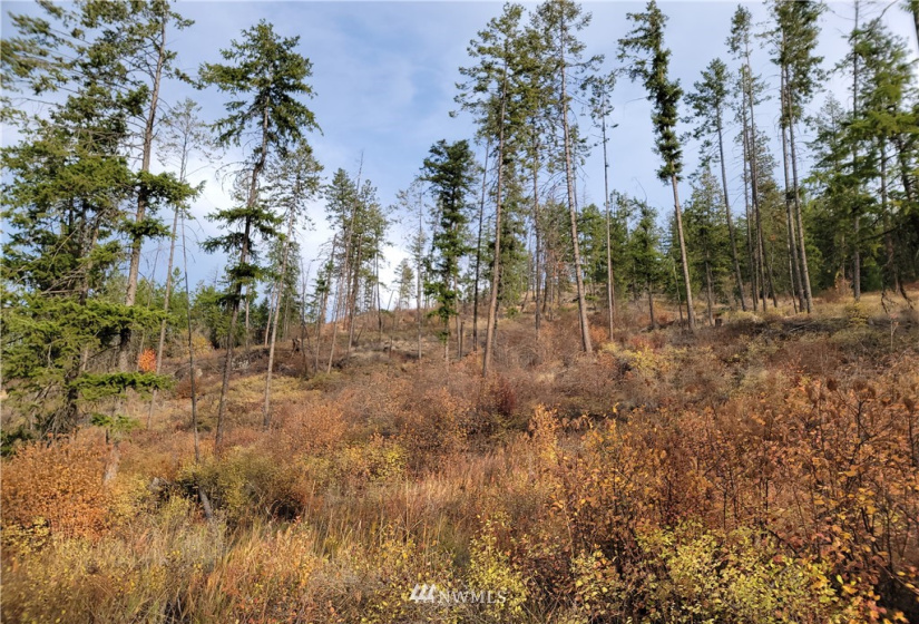 0 Blue Creek, Chewelah, Washington 99109, ,Land,For Sale,Blue Creek,NWM1862288