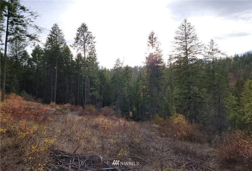 0 Blue Creek, Chewelah, Washington 99109, ,Land,For Sale,Blue Creek,NWM1862288