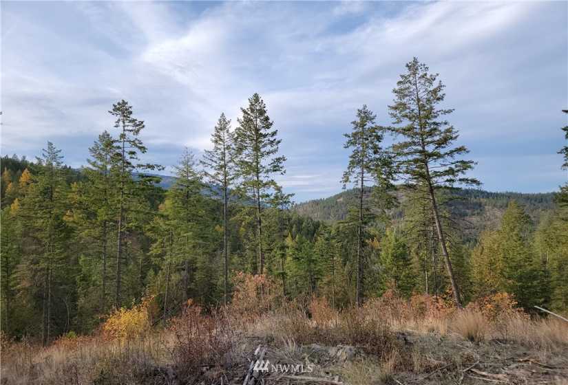 0 Blue Creek, Chewelah, Washington 99109, ,Land,For Sale,Blue Creek,NWM1862288