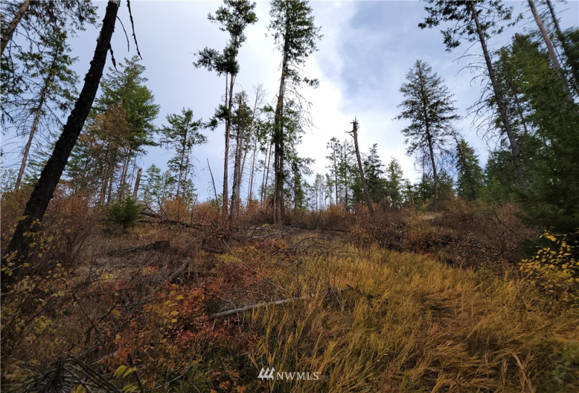 0 Blue Creek, Chewelah, Washington 99109, ,Land,For Sale,Blue Creek,NWM1862288
