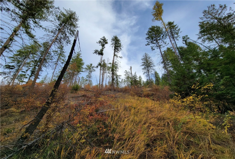 0 Blue Creek, Chewelah, Washington 99109, ,Land,For Sale,Blue Creek,NWM1862288