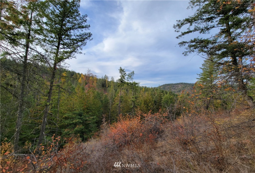 0 Blue Creek, Chewelah, Washington 99109, ,Land,For Sale,Blue Creek,NWM1862288