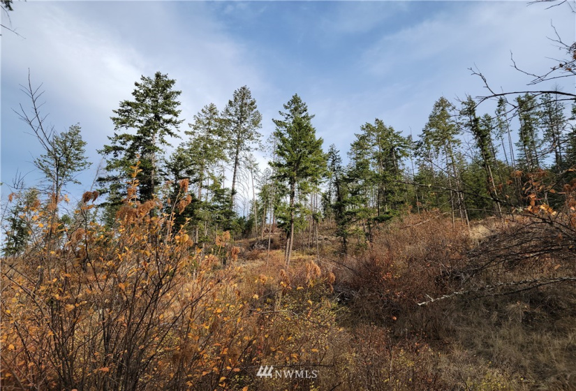 0 Blue Creek, Chewelah, Washington 99109, ,Land,For Sale,Blue Creek,NWM1862288