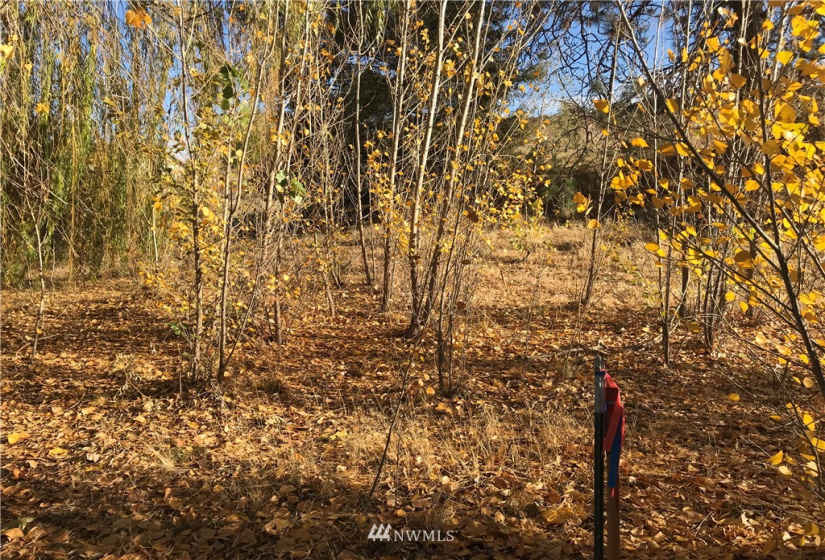 28 Elite, Brewster, Washington 98812, ,Land,For Sale,Elite 8 Estates,Elite,NWM1862215
