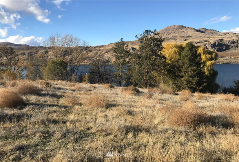 28 Elite, Brewster, Washington 98812, ,Land,For Sale,Elite 8 Estates,Elite,NWM1862215