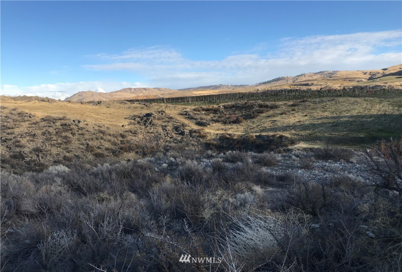 28 Elite, Brewster, Washington 98812, ,Land,For Sale,Elite 8 Estates,Elite,NWM1862215