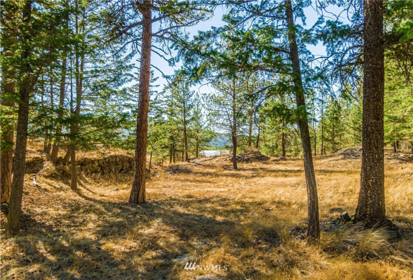 39 Cape LaBelle, Tonasket, Washington 98855, 3 Bedrooms Bedrooms, ,2 BathroomsBathrooms,Residential,For Sale,Cape LaBelle,NWM1860779