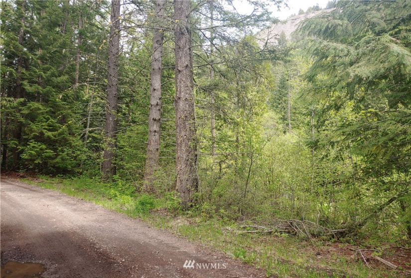 1897 Swede Pass, Evans, Washington 99126, 2 Bedrooms Bedrooms, ,1 BathroomBathrooms,Residential,For Sale,Swede Pass,NWM1862834
