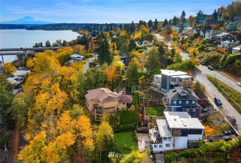 1117 Lakeside, Seattle, Washington 98144, ,Land,For Sale,Lakeside,NWM1861279