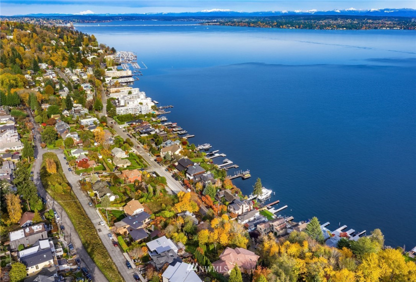 1117 Lakeside, Seattle, Washington 98144, ,Land,For Sale,Lakeside,NWM1861279
