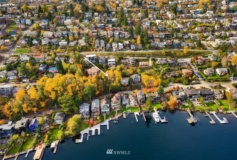 1117 Lakeside, Seattle, Washington 98144, ,Land,For Sale,Lakeside,NWM1861279