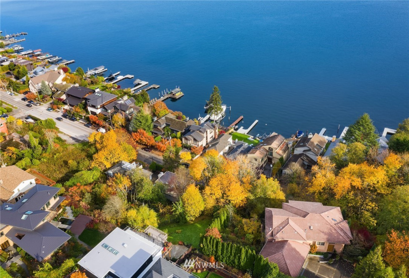 1117 Lakeside, Seattle, Washington 98144, ,Land,For Sale,Lakeside,NWM1861279