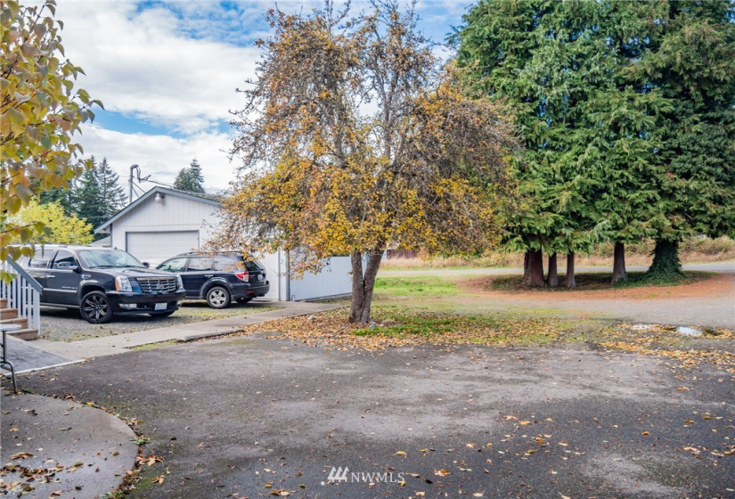 313 Yelm, Yelm, Washington 98597, ,Commercial Sale,For Sale,Yelm,NWM1860231