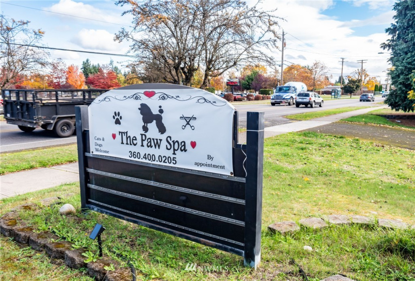 313 Yelm, Yelm, Washington 98597, ,Commercial Sale,For Sale,Yelm,NWM1860231