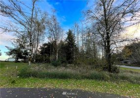 132 Duck Lake, Ocean Shores, Washington 98569, ,Land,For Sale,23,Duck Lake,NWM1863222