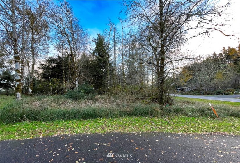 132 Duck Lake, Ocean Shores, Washington 98569, ,Land,For Sale,23,Duck Lake,NWM1863222