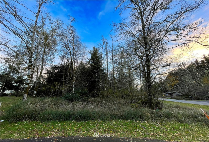 132 Duck Lake, Ocean Shores, Washington 98569, ,Land,For Sale,23,Duck Lake,NWM1863222
