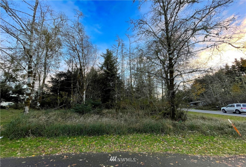 132 Duck Lake, Ocean Shores, Washington 98569, ,Land,For Sale,23,Duck Lake,NWM1863222