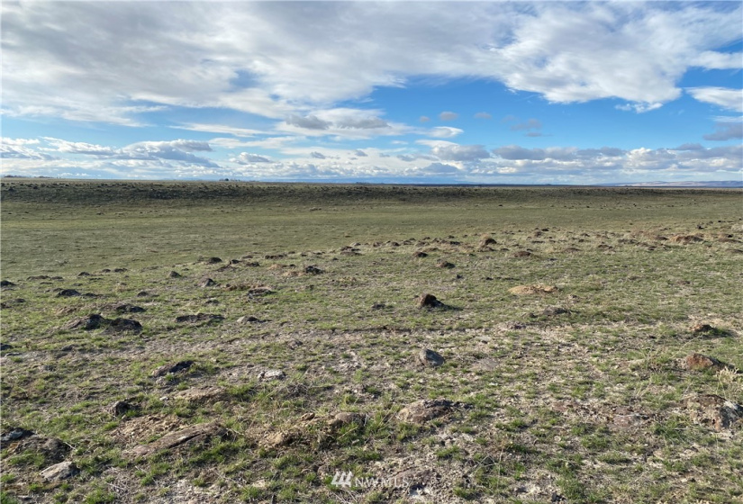 0 5, Moses Lake, Washington 98837, ,Land,For Sale,5,NWM1862684