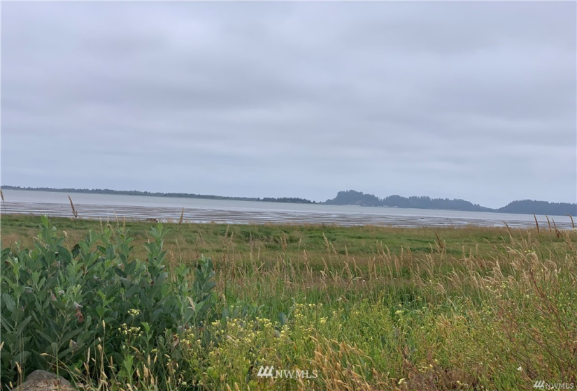254 Stringtown, Ilwaco, Washington 98624, ,Land,For Sale,94-027,Stringtown,NWM1863006
