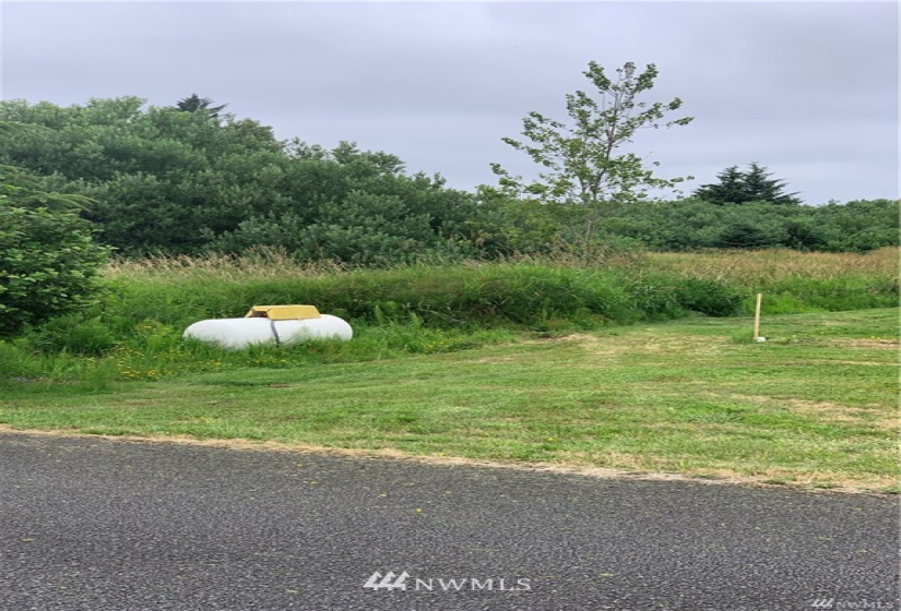 254 Stringtown, Ilwaco, Washington 98624, ,Land,For Sale,94-027,Stringtown,NWM1863006