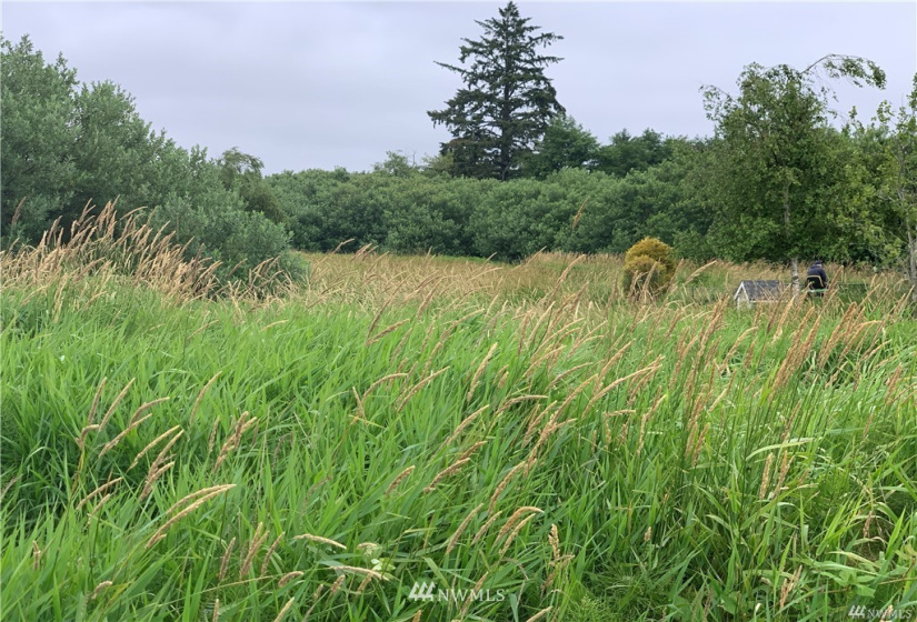 254 Stringtown, Ilwaco, Washington 98624, ,Land,For Sale,94-027,Stringtown,NWM1863006
