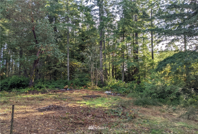 17314 38th, Lakebay, Washington 98349, 1 Bedroom Bedrooms, ,1 BathroomBathrooms,Residential,For Sale,38th,NWM1863218