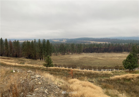 3077 Hall Creek, Inchelium, Washington 99138, 3 Bedrooms Bedrooms, ,Residential,For Sale,Hall Creek,NWM1863514