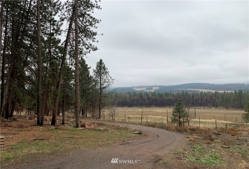 3077 Hall Creek, Inchelium, Washington 99138, 3 Bedrooms Bedrooms, ,Residential,For Sale,Hall Creek,NWM1863514