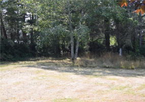 2020 245th, Ocean Park, Washington 98640, ,Land,For Sale,245th,NWM1863592