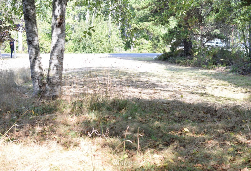 2020 245th, Ocean Park, Washington 98640, ,Land,For Sale,245th,NWM1863592